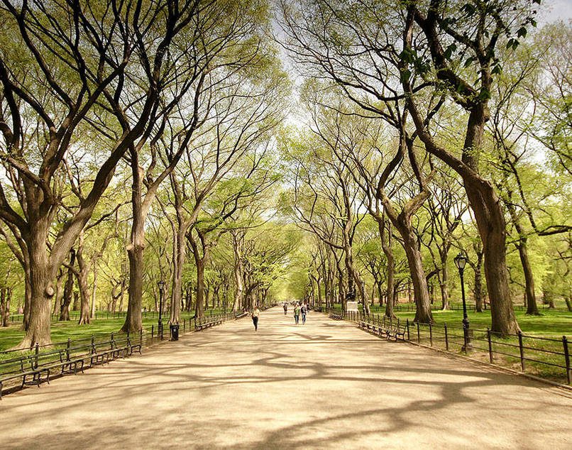 park