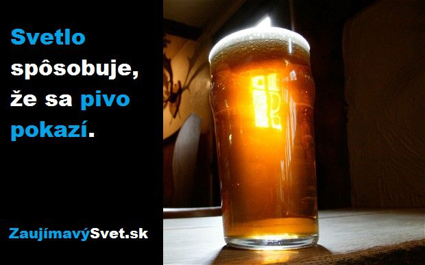svetlo