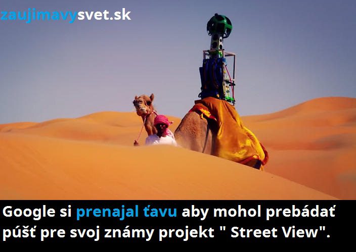 fakt o google 4