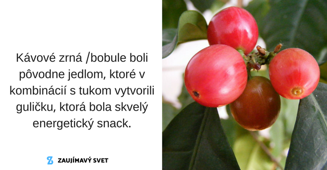 Kávové bobule