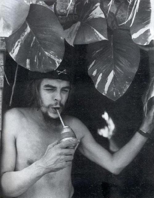 che guevara