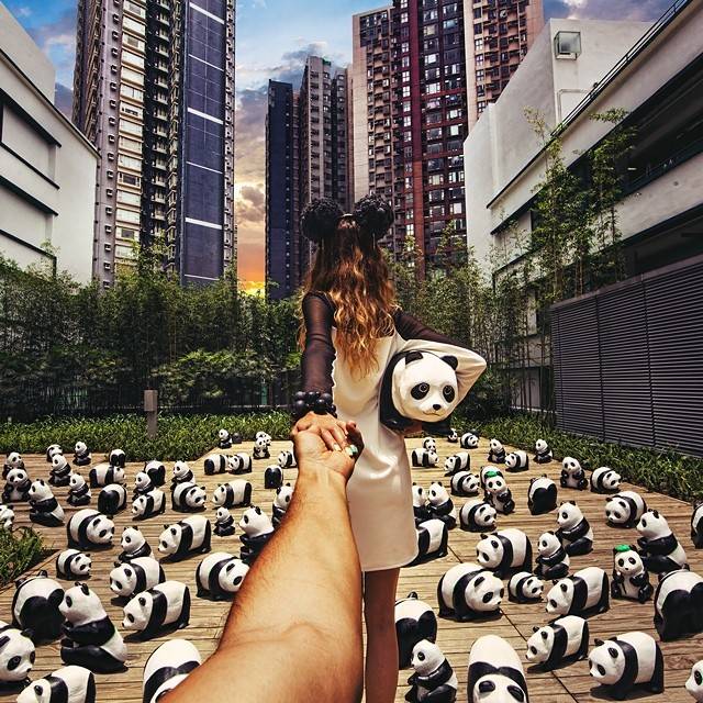 pandy