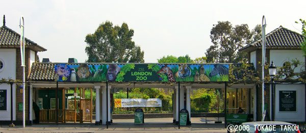 zoo