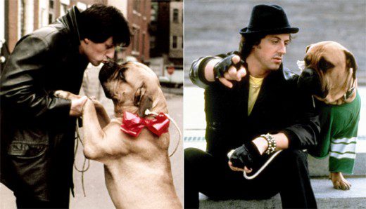 stallone