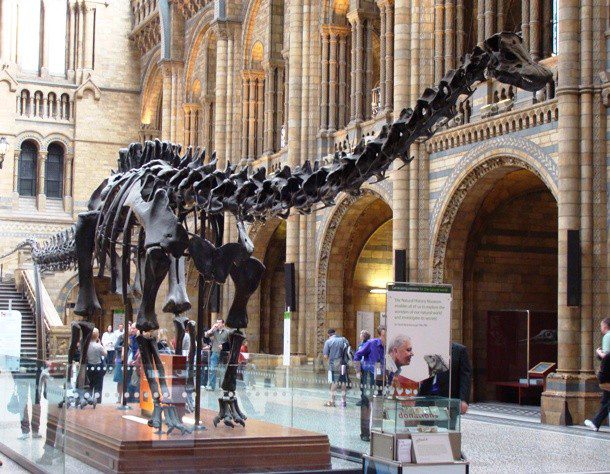 dinosaurus