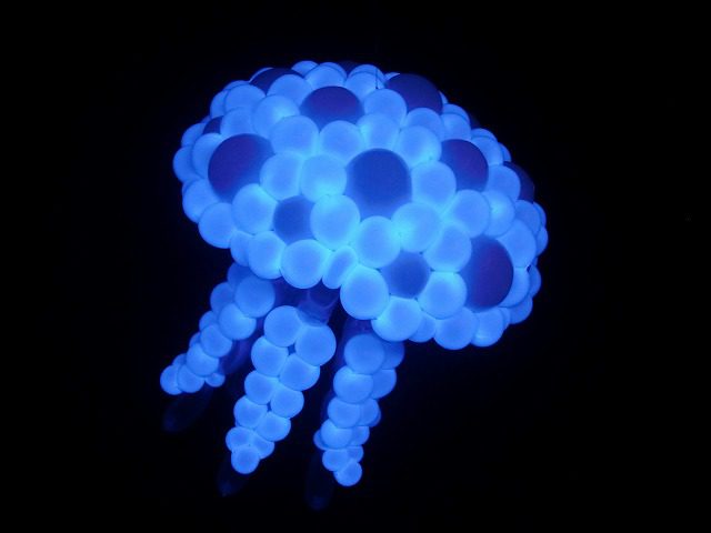 meduza