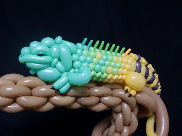 chameleon