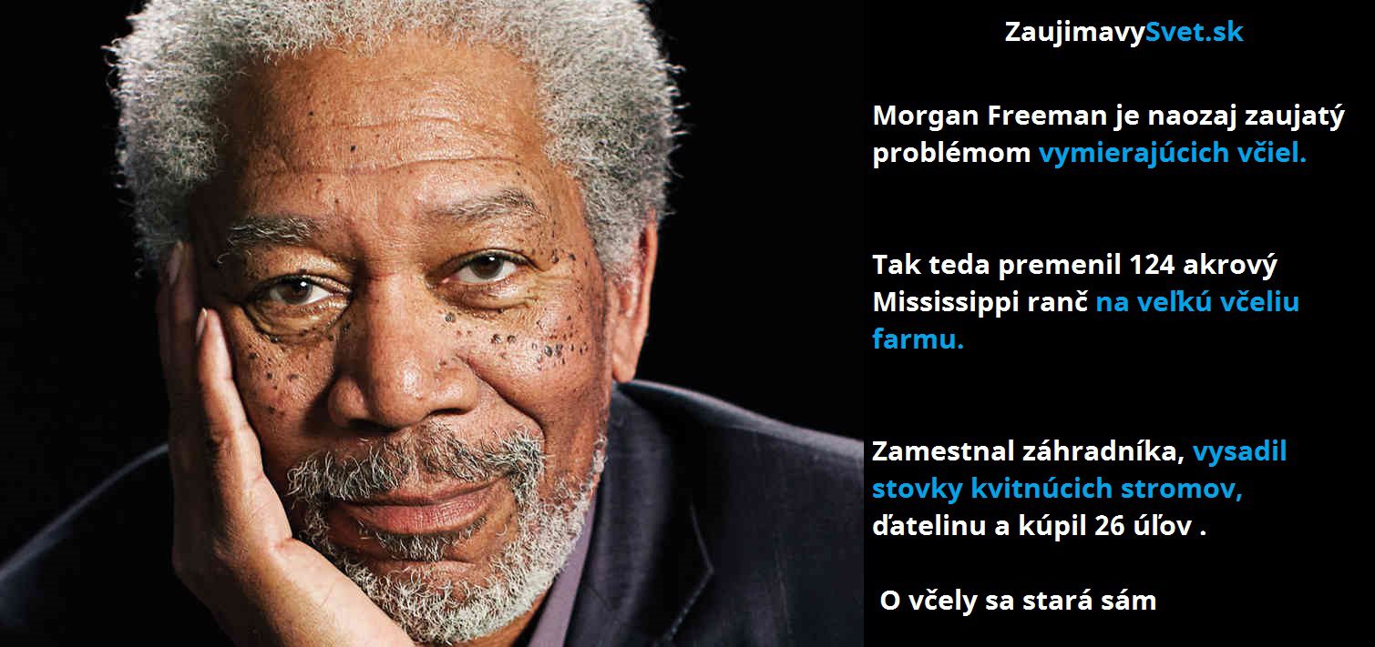 morgan 2