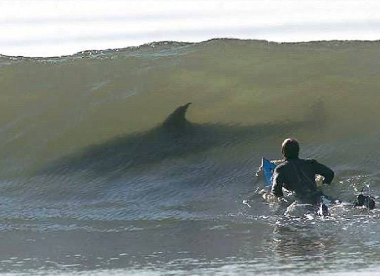 ocean 11