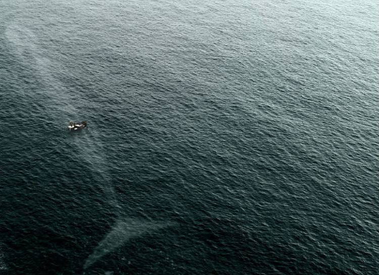 ocean 2