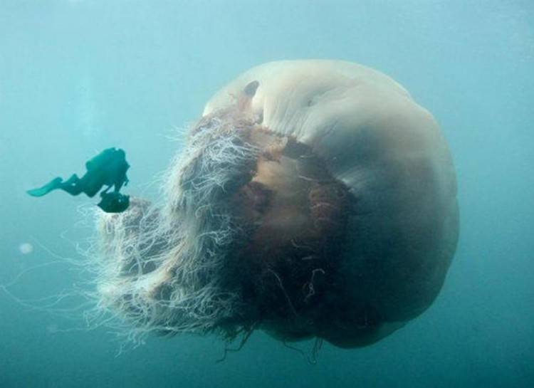 12 Fotiek, ktoré vám ukážu, že oceán vie byť strašidelné miesto
