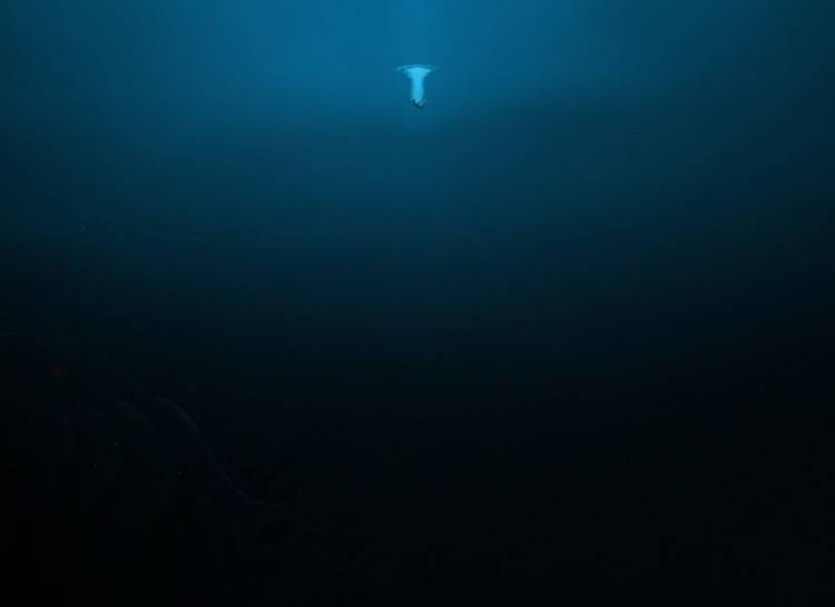 ocean 4