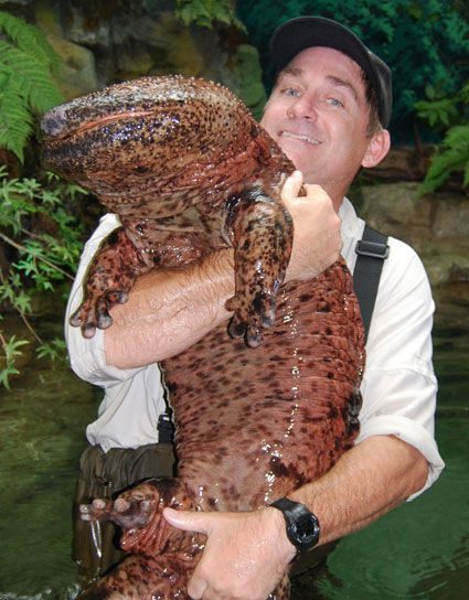 salamander