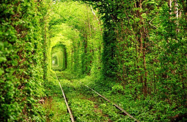 tunel
