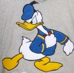 donald