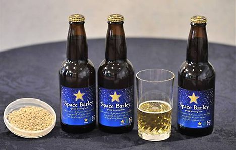 pivo 2