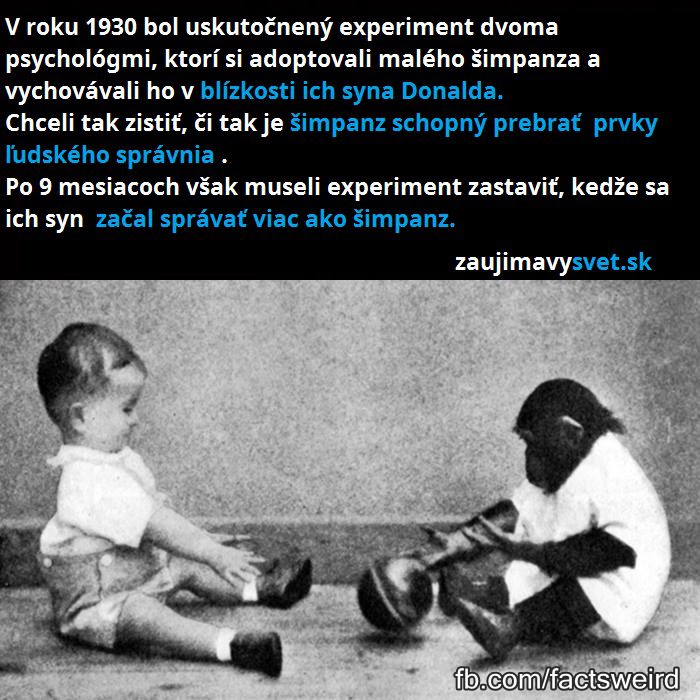 experiment