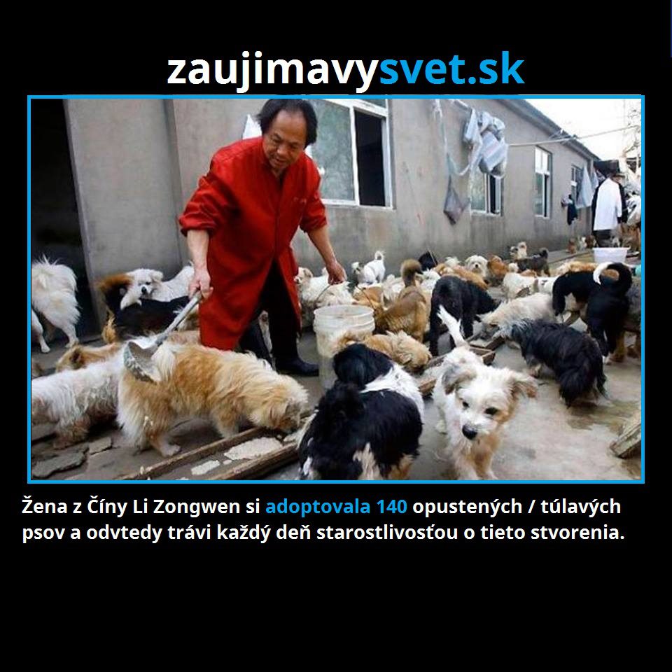 zena a psy