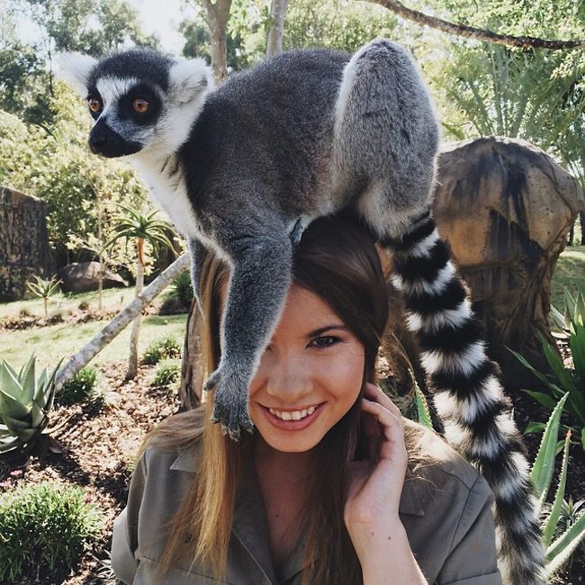 Bindi v ZOO