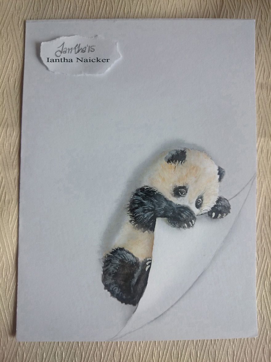 panda