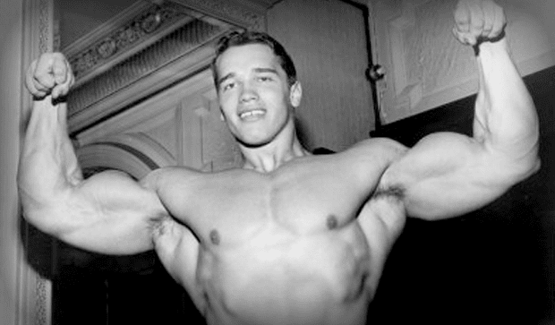 mlady arnold