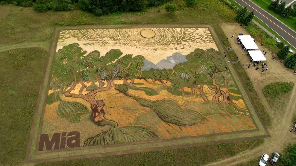 Umelec vytvaroval pole do tvaru Van Gogovho obrazu