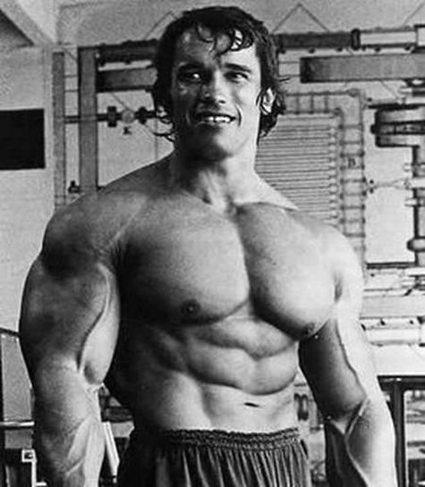 starsi arnold