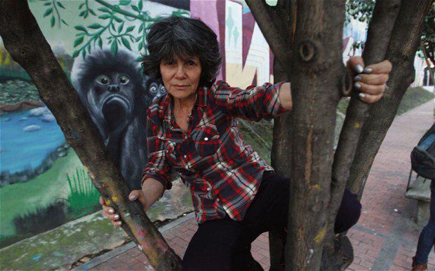zena