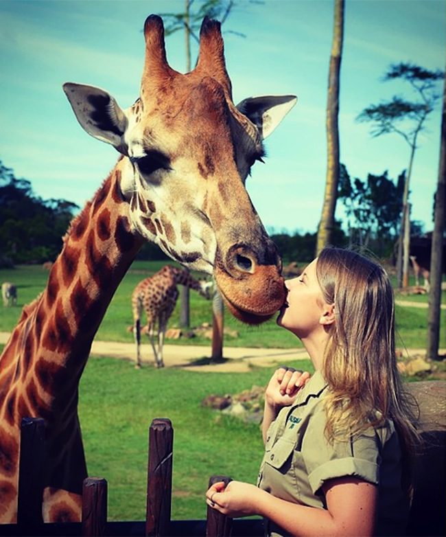 zivot zoo