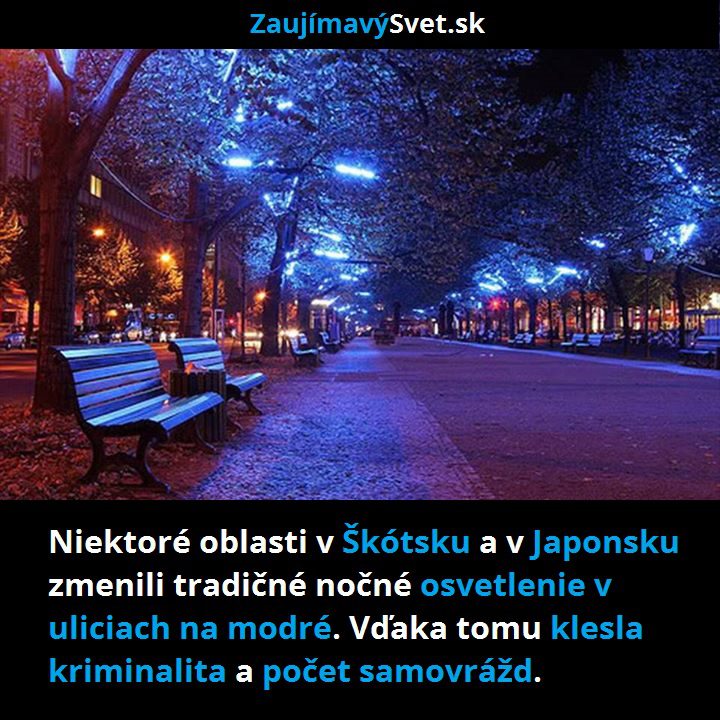 kriminalita