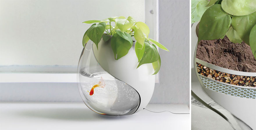 akvarium