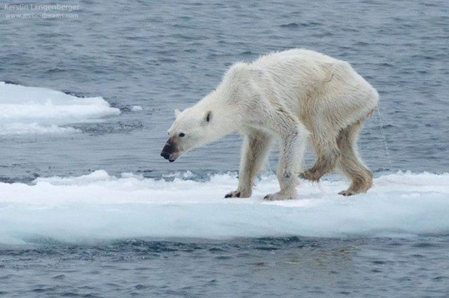 Šokujúca fotografia odhaľuje nebezpečenstvo klimatických zmien