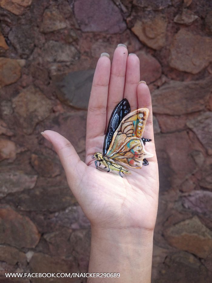 motyl