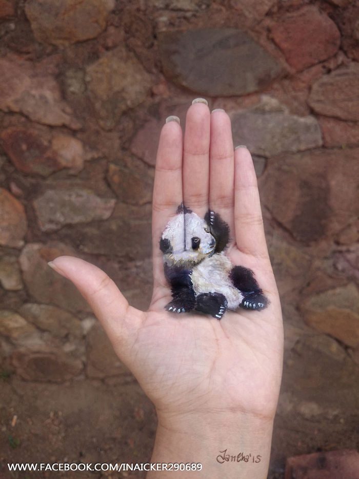 panda