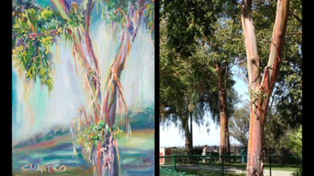 Autor:concetta antico