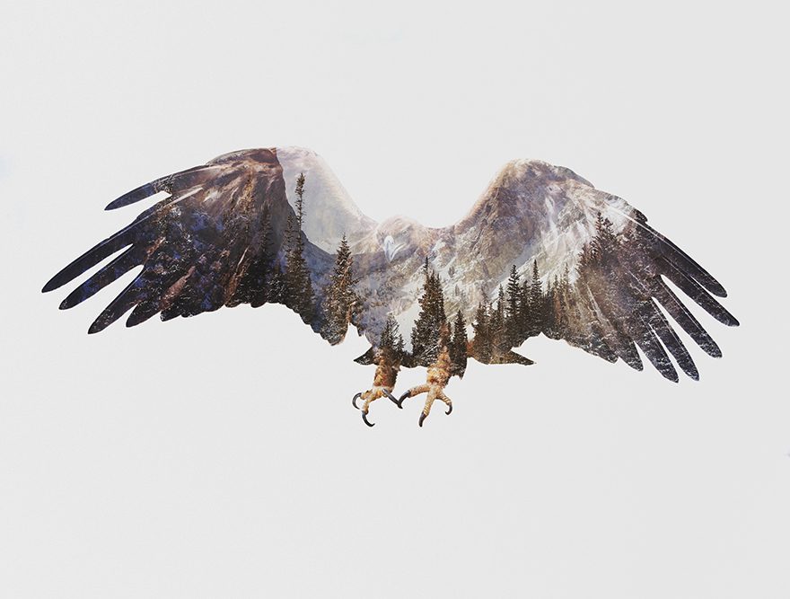 Autor: Andreas Lie