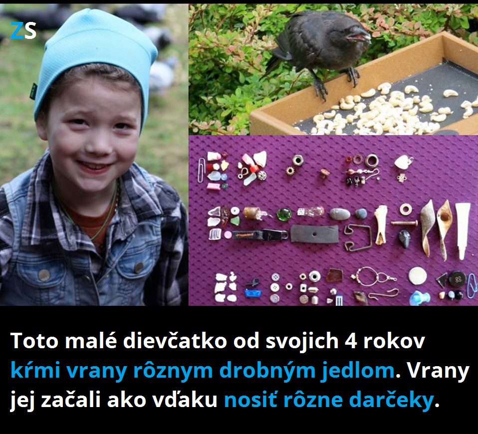 vrana