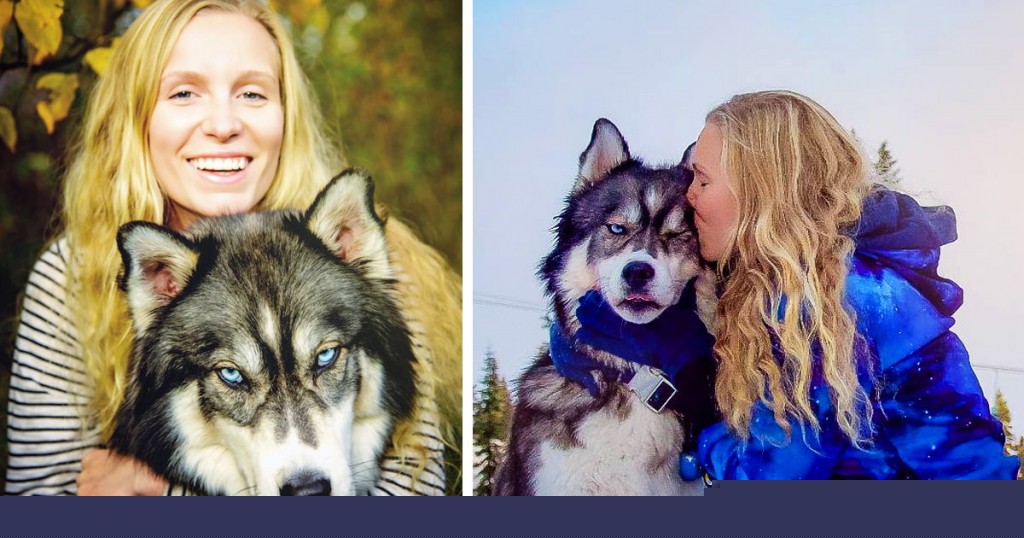 husky 1