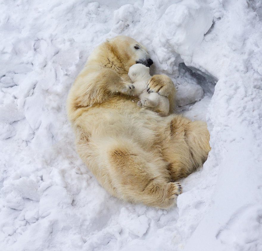 Foto: Anton Belovodchenko
