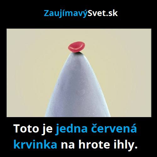 ihla