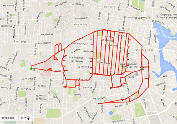 gps obrazy 10
