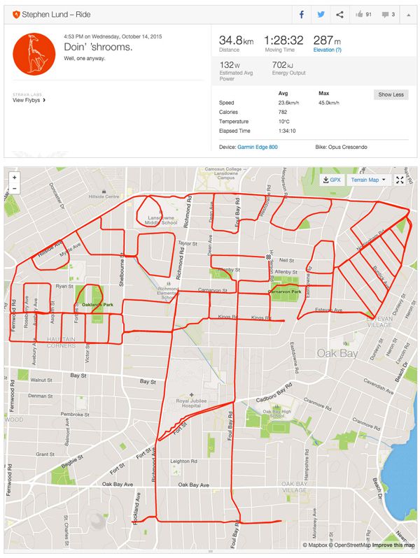 gps obrazy 19