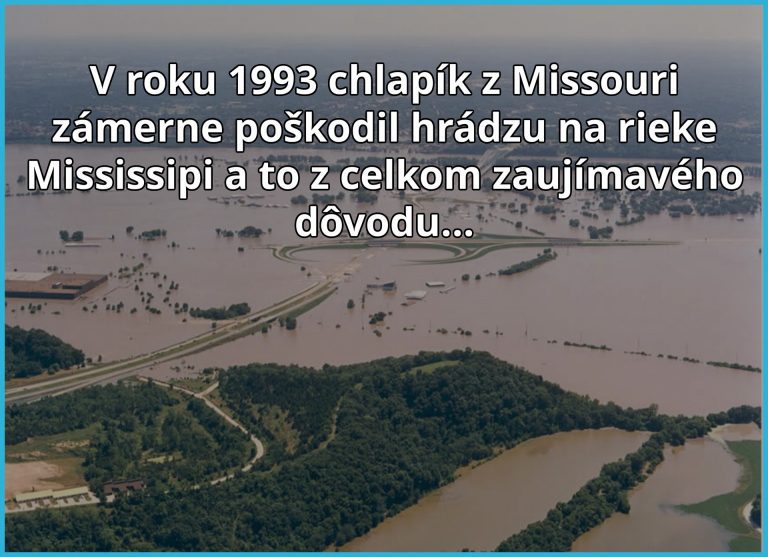 V hlave to zrejme znelo ako „skvelý nápad „