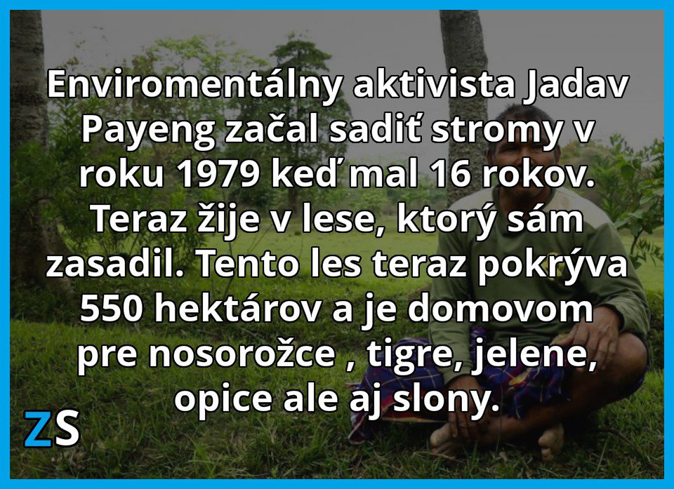 aktivista