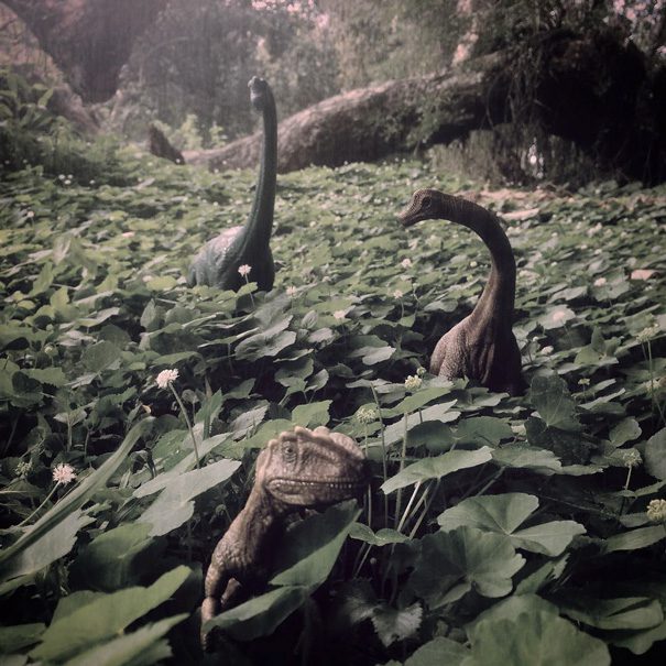 dinosaury4