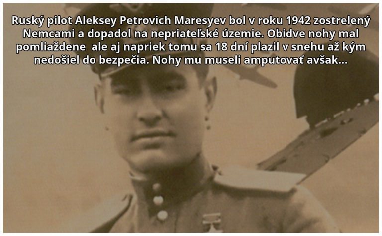 Zrodený bojovať