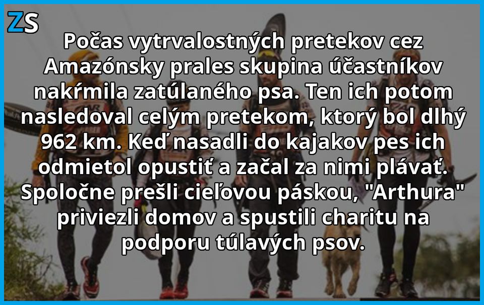 vytrvalostne preteky1