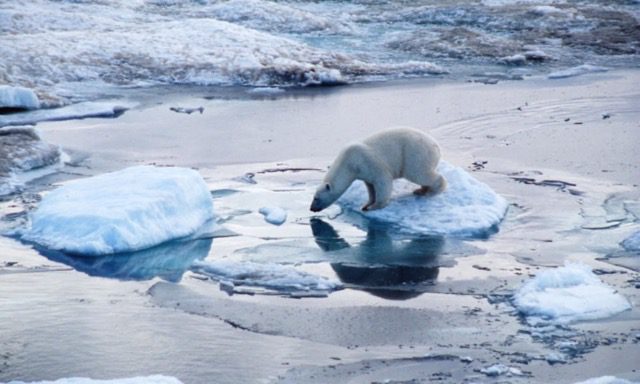 4 dôvody, prečo by nám nemalo záležať na klimatických zmenách