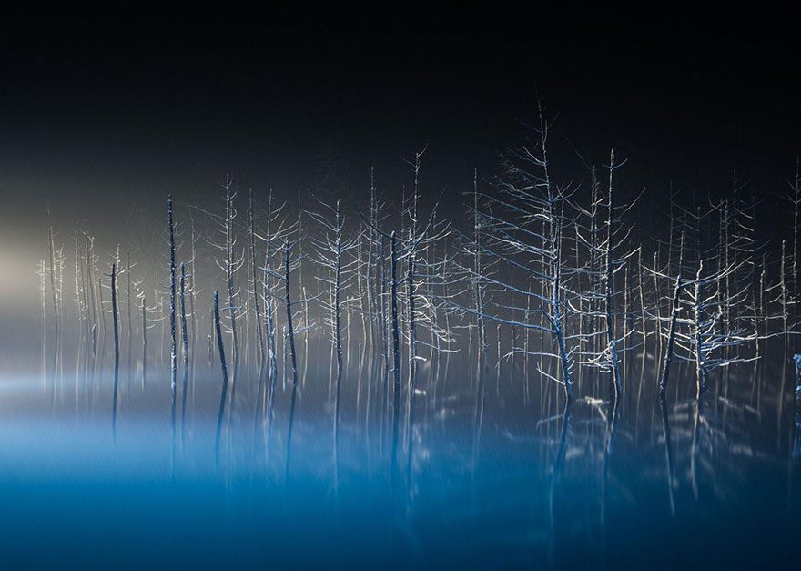 ngfotografie15