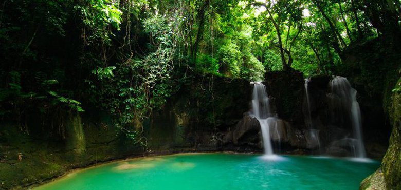 bohol.gov.ph